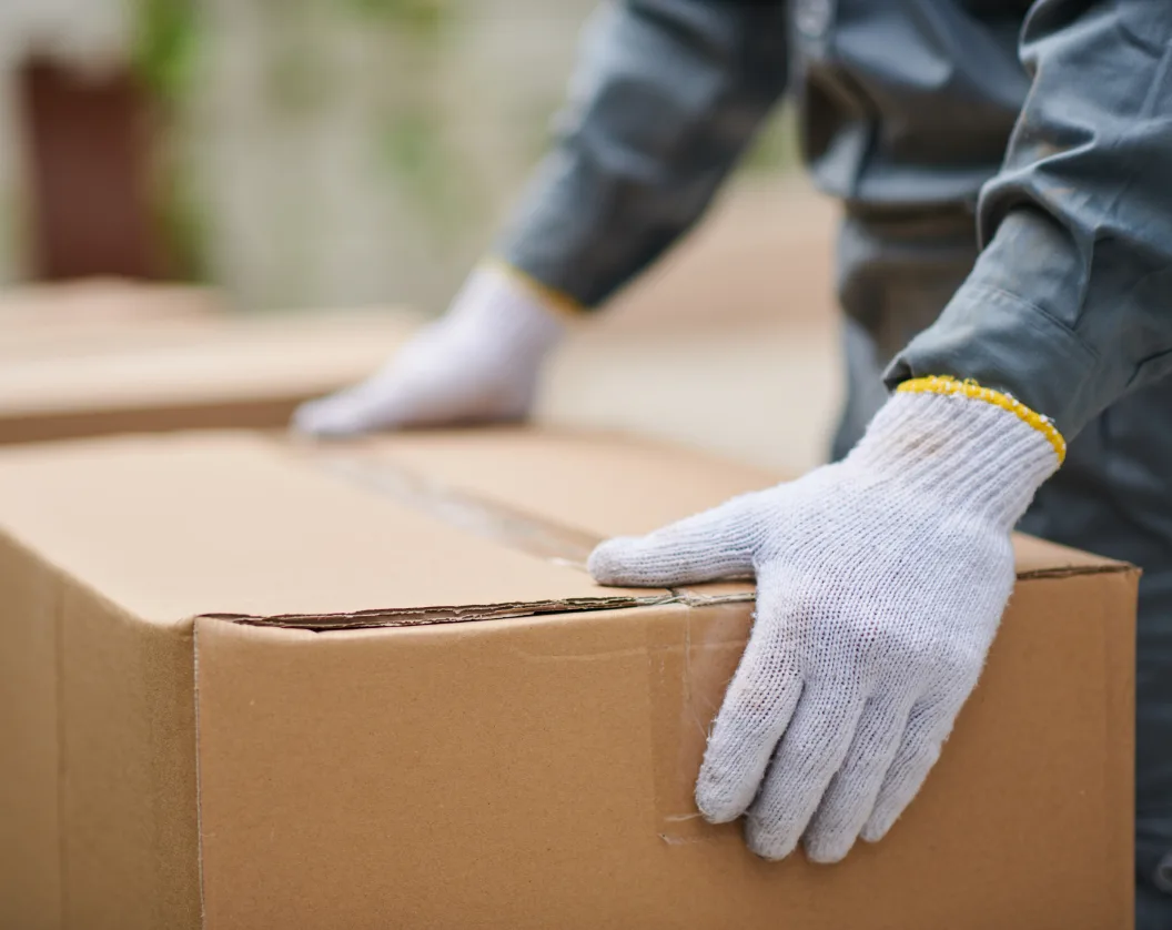 mover-carrying-cardboard-boxes-2025-01-31-00-40-31-utc